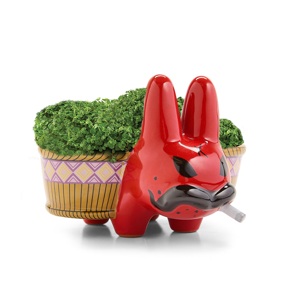Chia Pet Smorkin’ Labbit - Smokin' Cool Blue & Red Edition Bundle (Limited Editions)